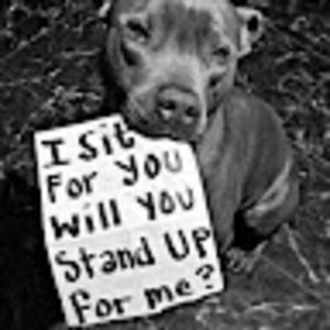 Meet your Posher, Wut??